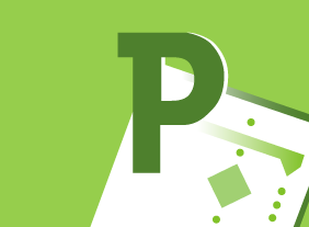 Project 2010 Foundation - Using and Customizing the Project Interface